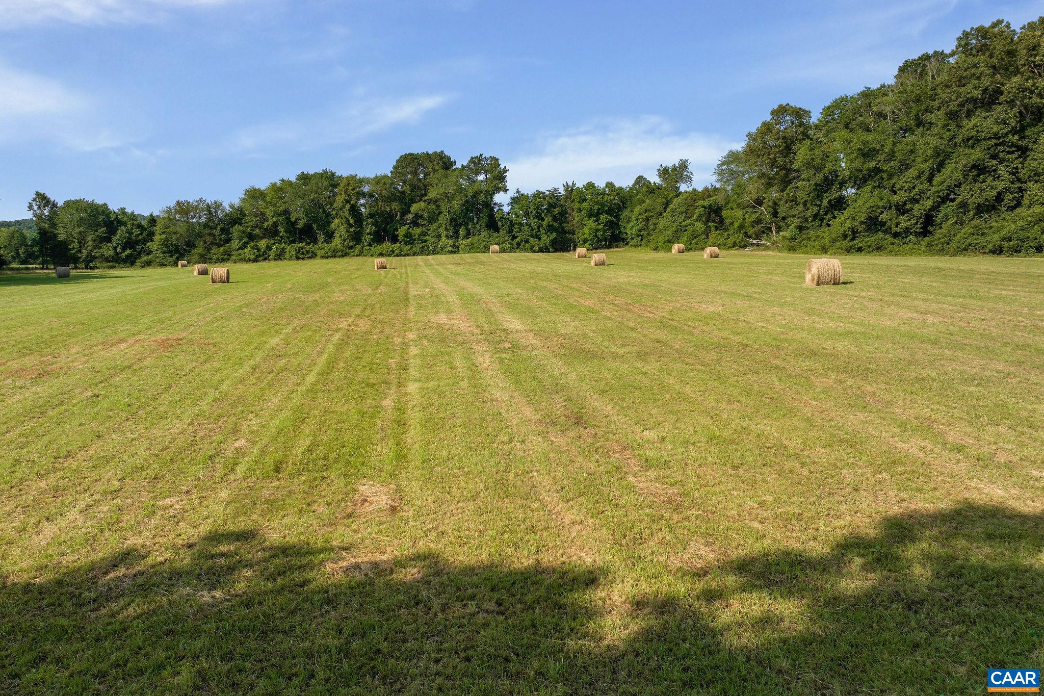 76.99 acres COLES ROLLING RD