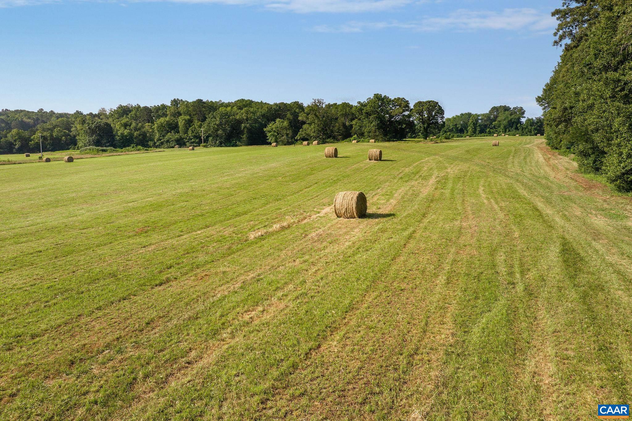 76.99 acres COLES ROLLING RD