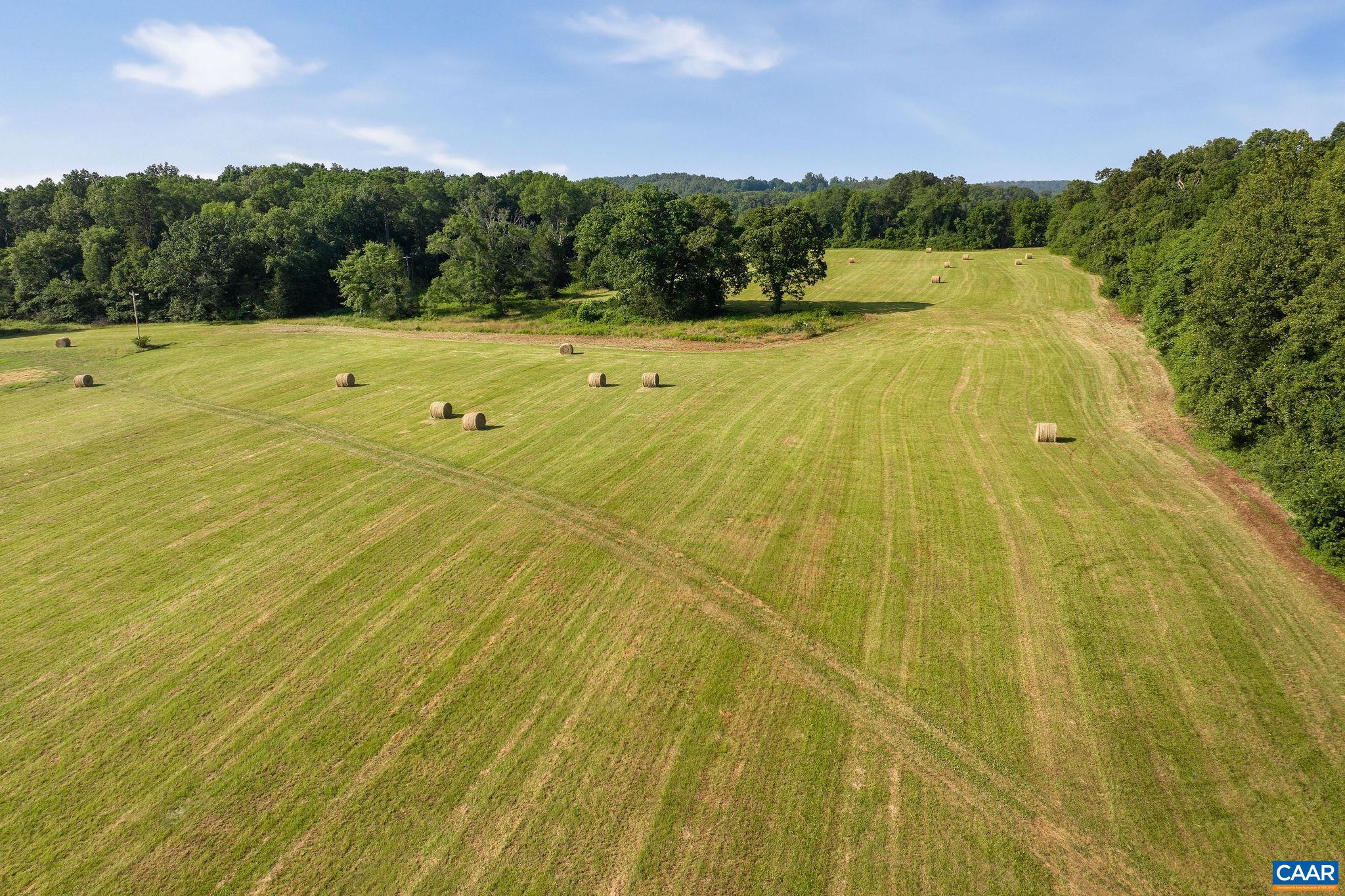 76.99 acres COLES ROLLING RD
