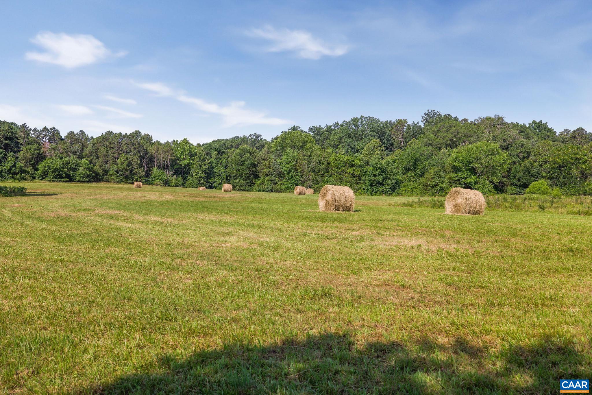 76.99 acres COLES ROLLING RD