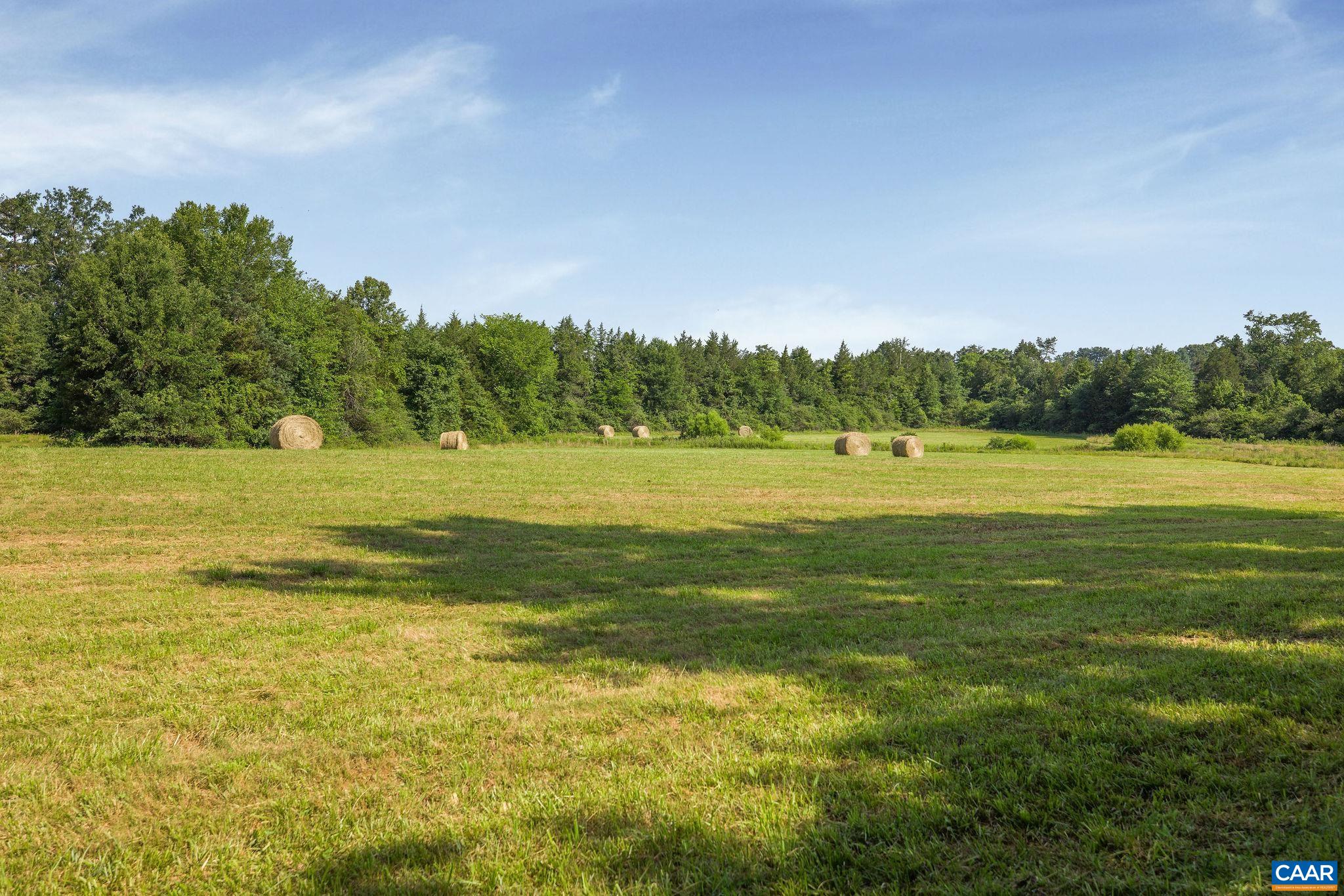 76.99 acres COLES ROLLING RD