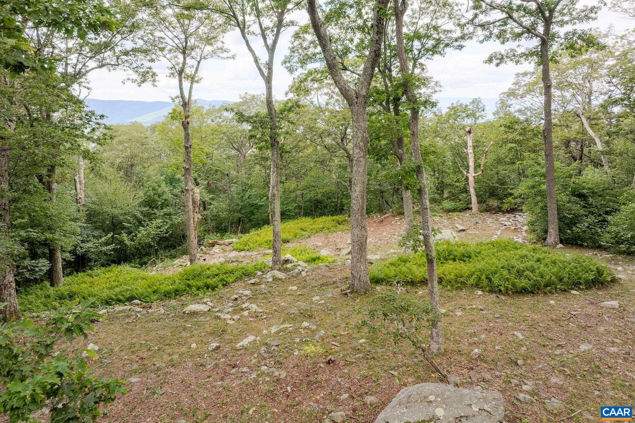 76 CRAB ORCHARD LN