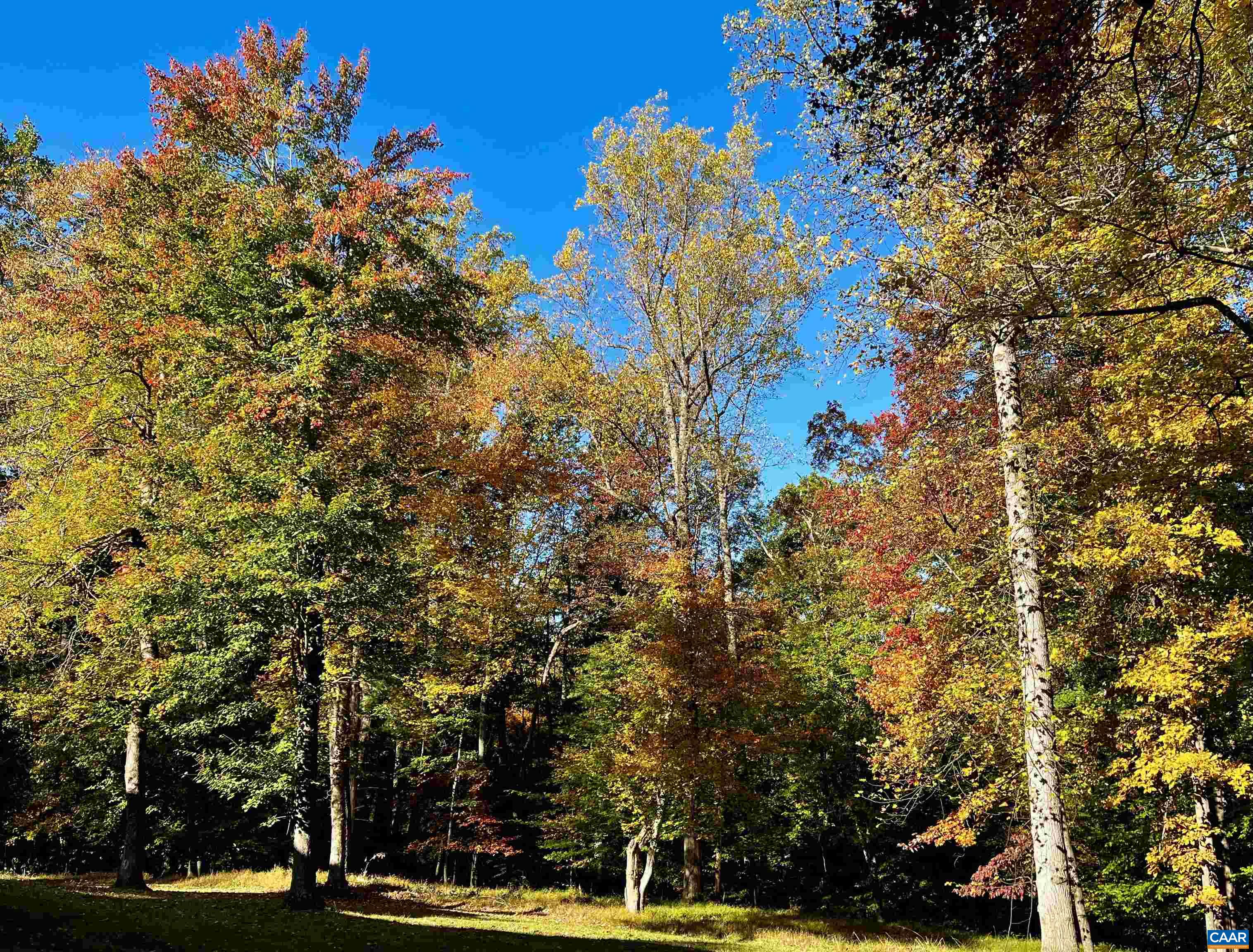 2482 SCHELFORD FARM RD