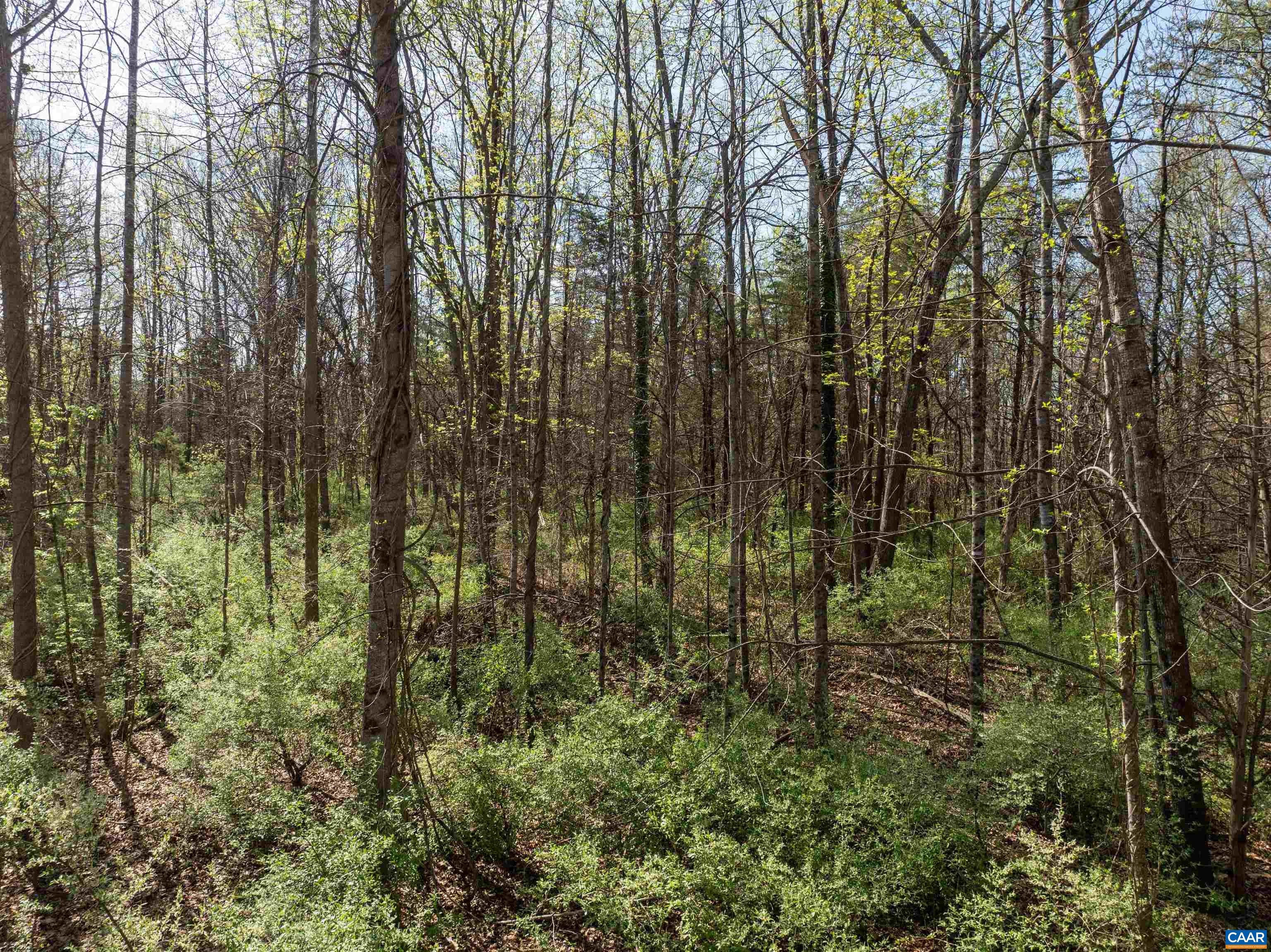 0 RANDOLPH CT