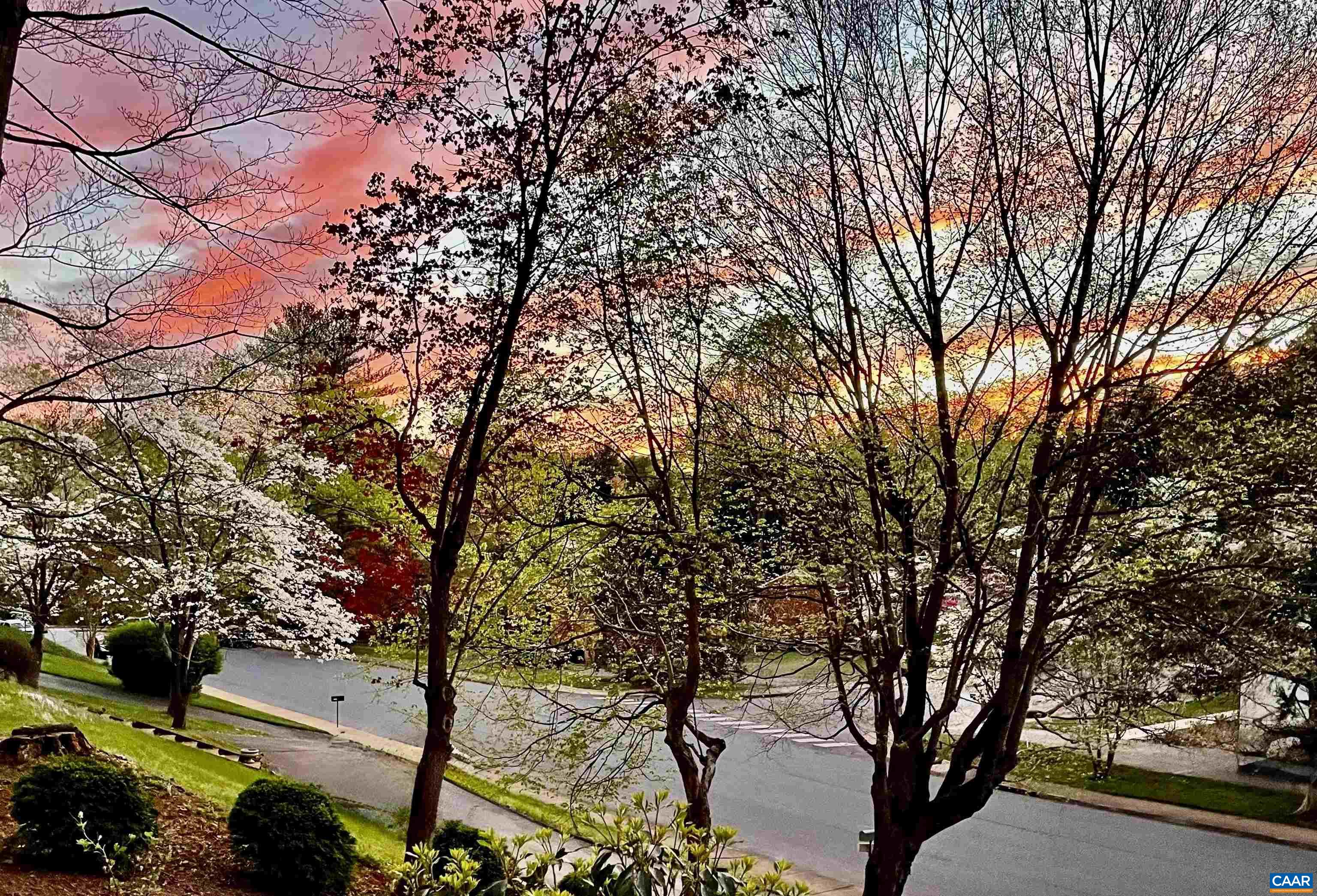 2228 BRANDYWINE DR