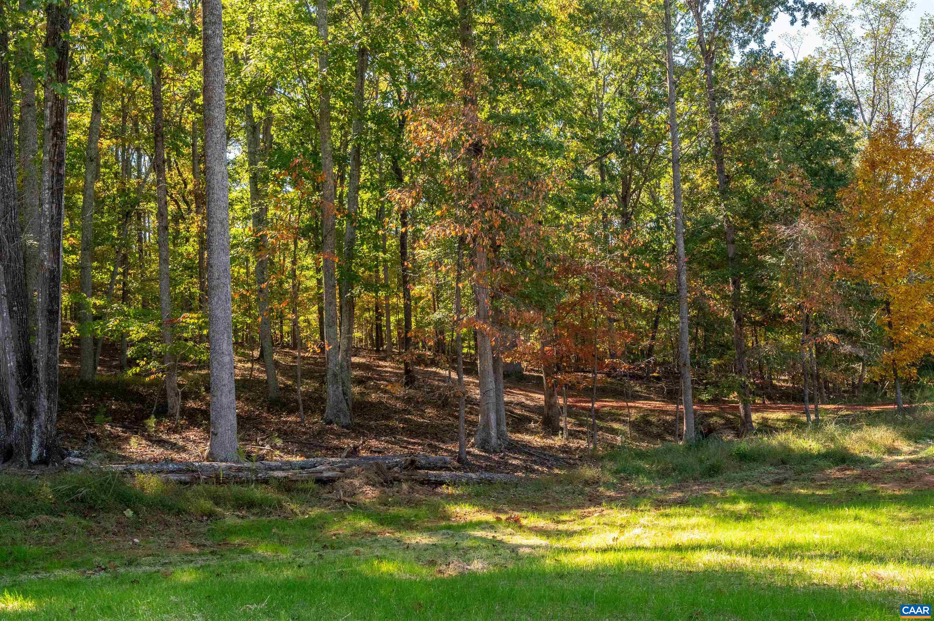 7337-B DICK WOODS RD