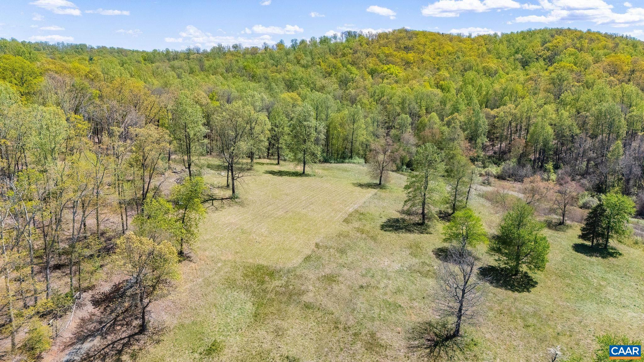 21 acres TBB BLOOMFIELD RD
