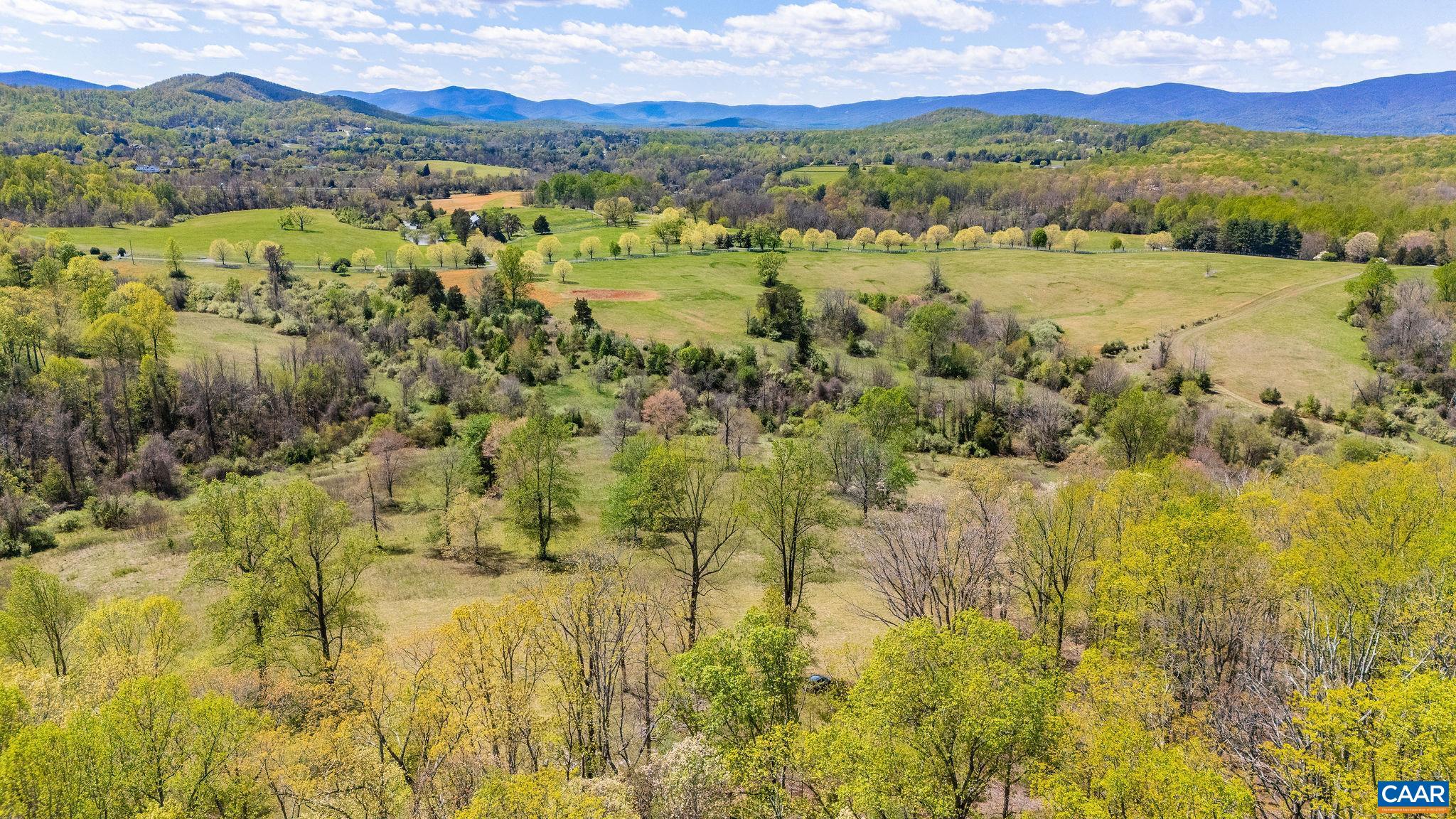 21 acres TBB BLOOMFIELD RD