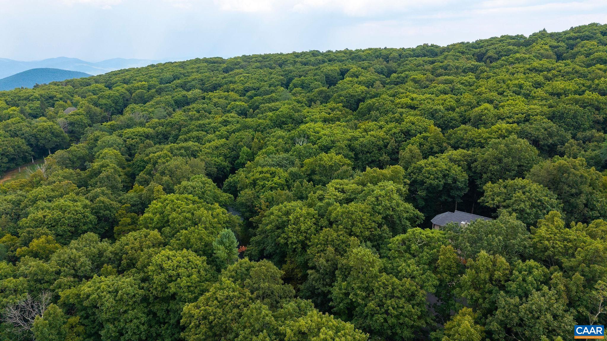 72 N FOREST DR