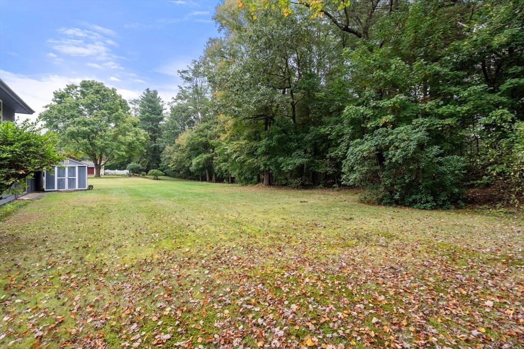 39 Harrington Rd