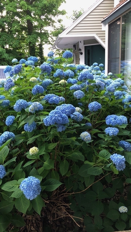 45 Lakeside Ave # 31