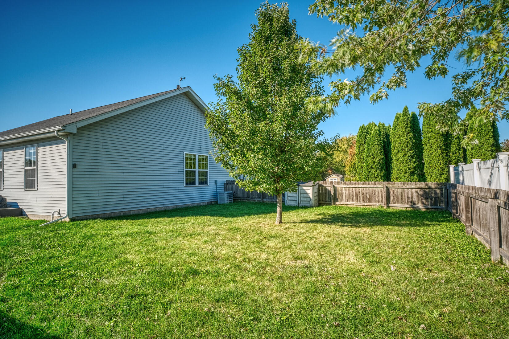 567 Chicory Lane