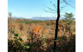 86 White Pine Circle