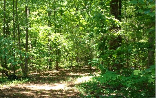 10+AC Talking Rock Road