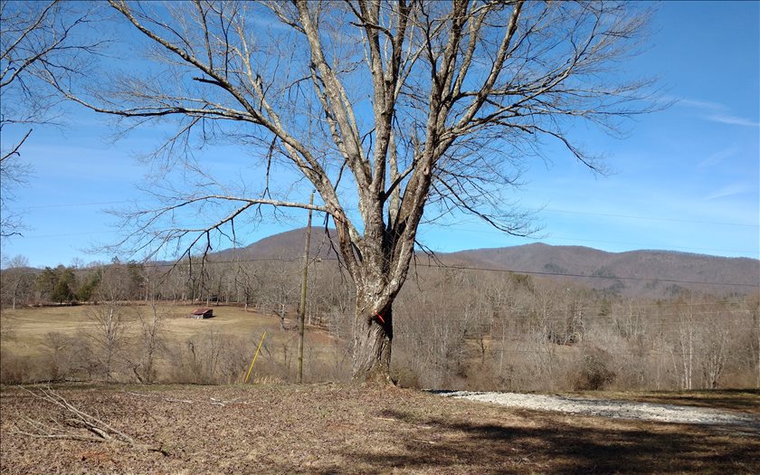 10+AC Big Creek Road