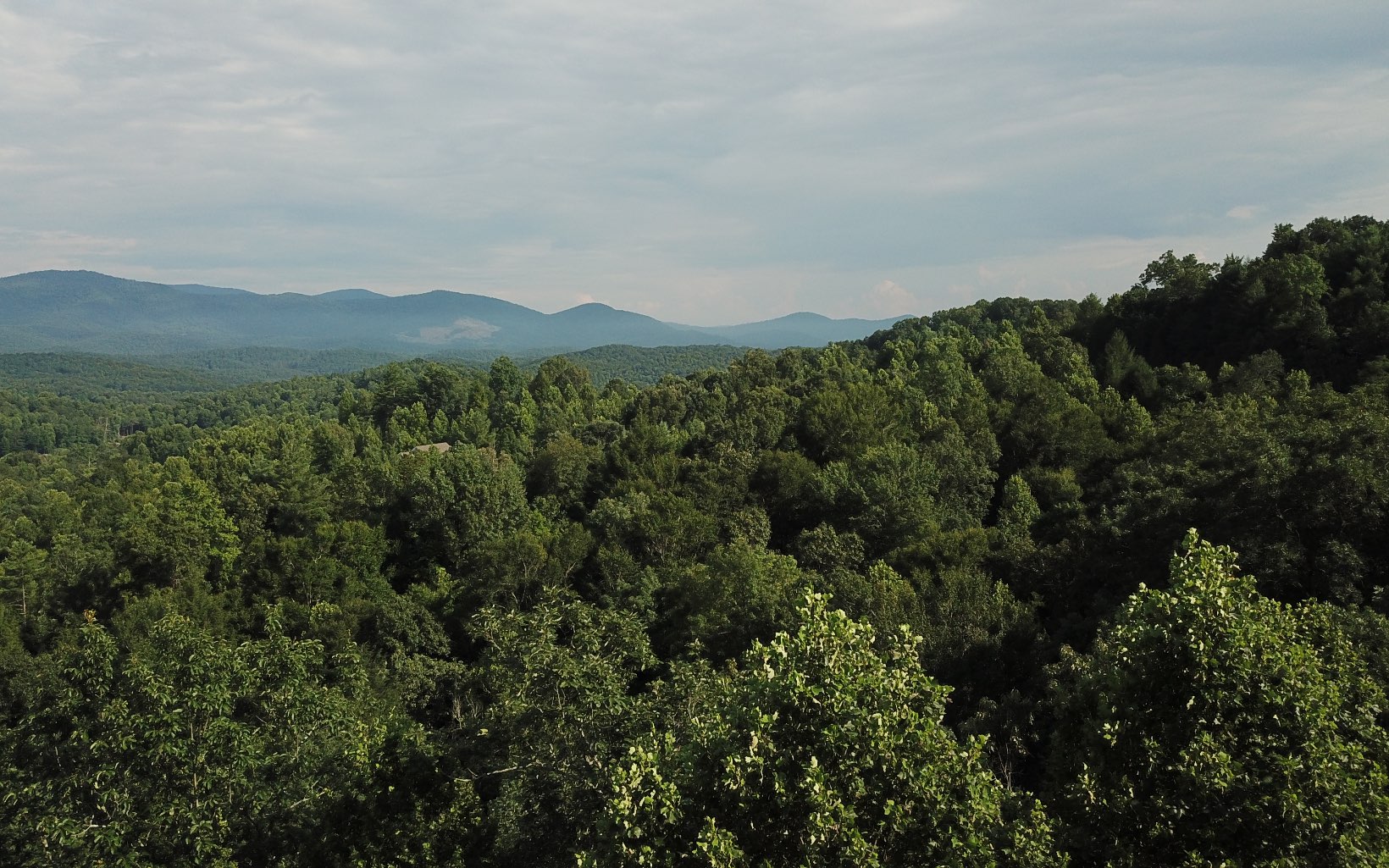 3.85 Bryant Creek Road