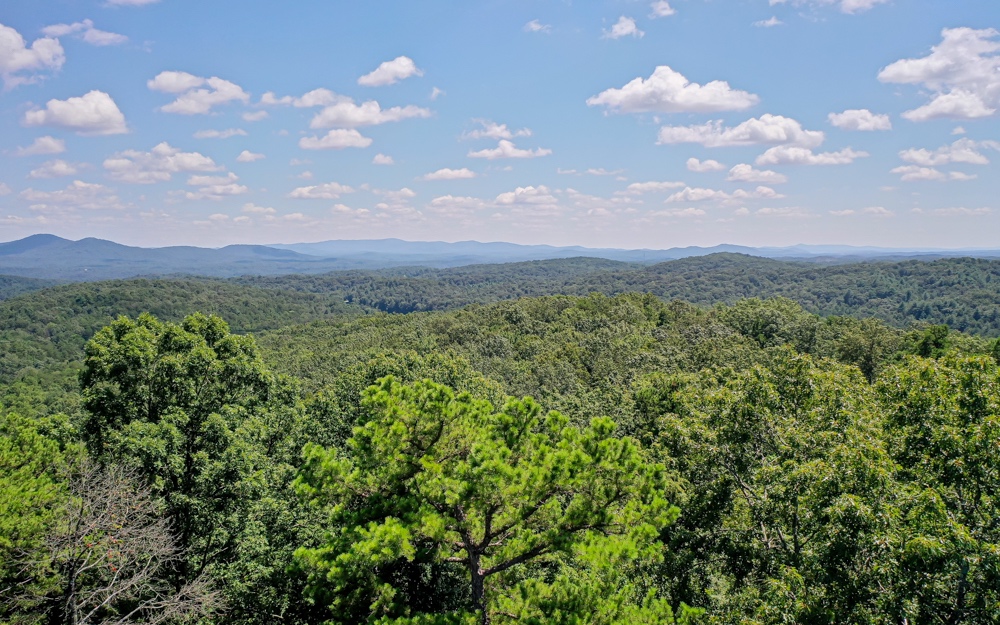24 Abbott Mill Road