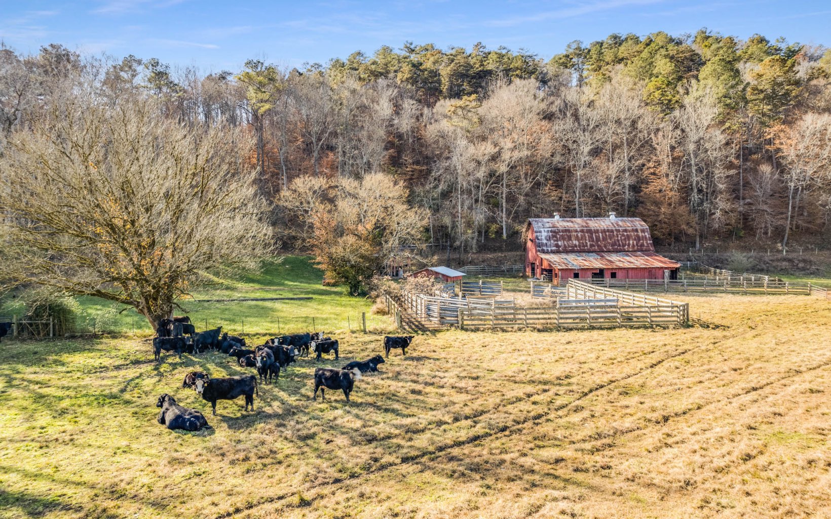 1150 Sandy Bottom Road