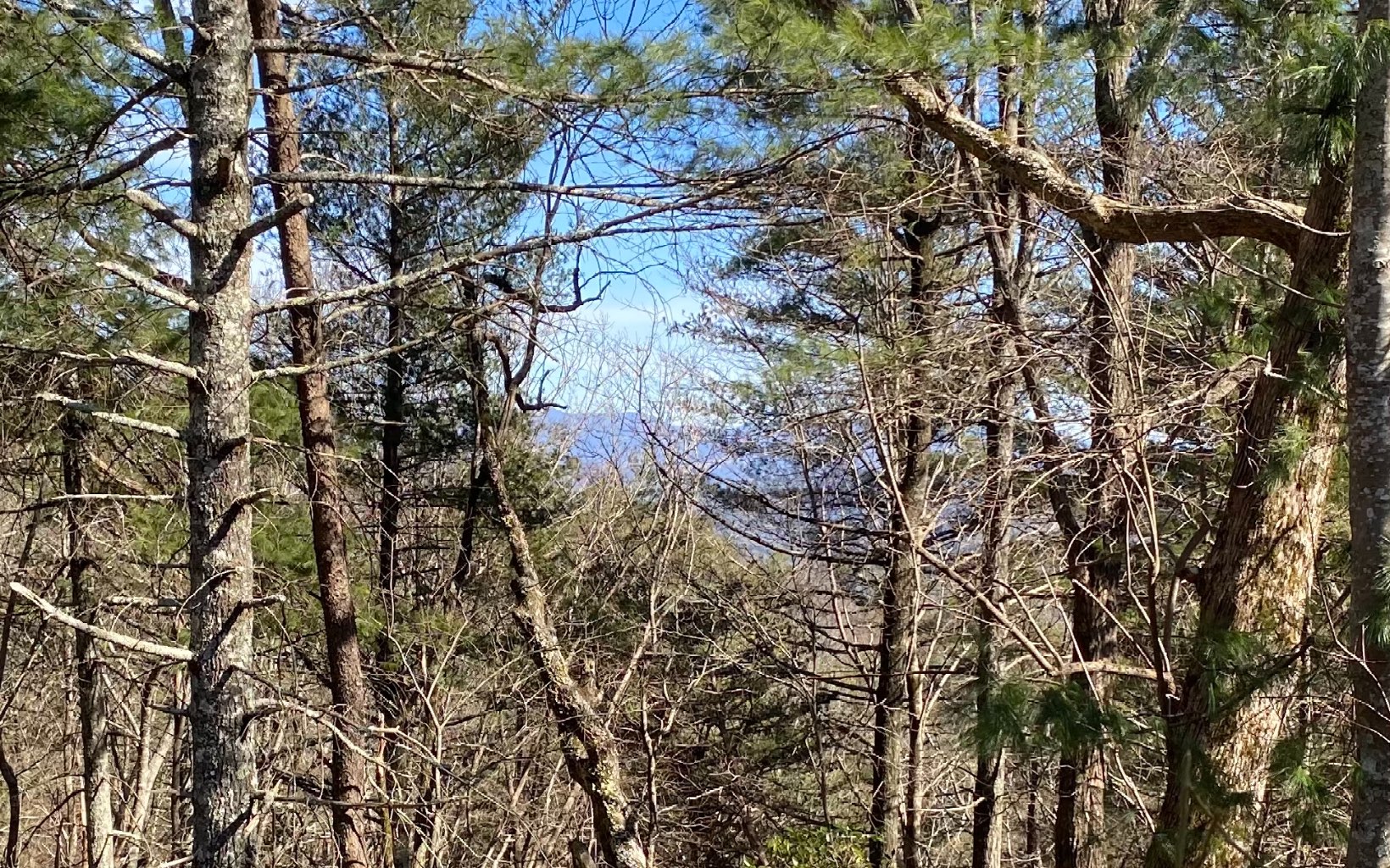 3.06 Acres Chatsworth Hwy