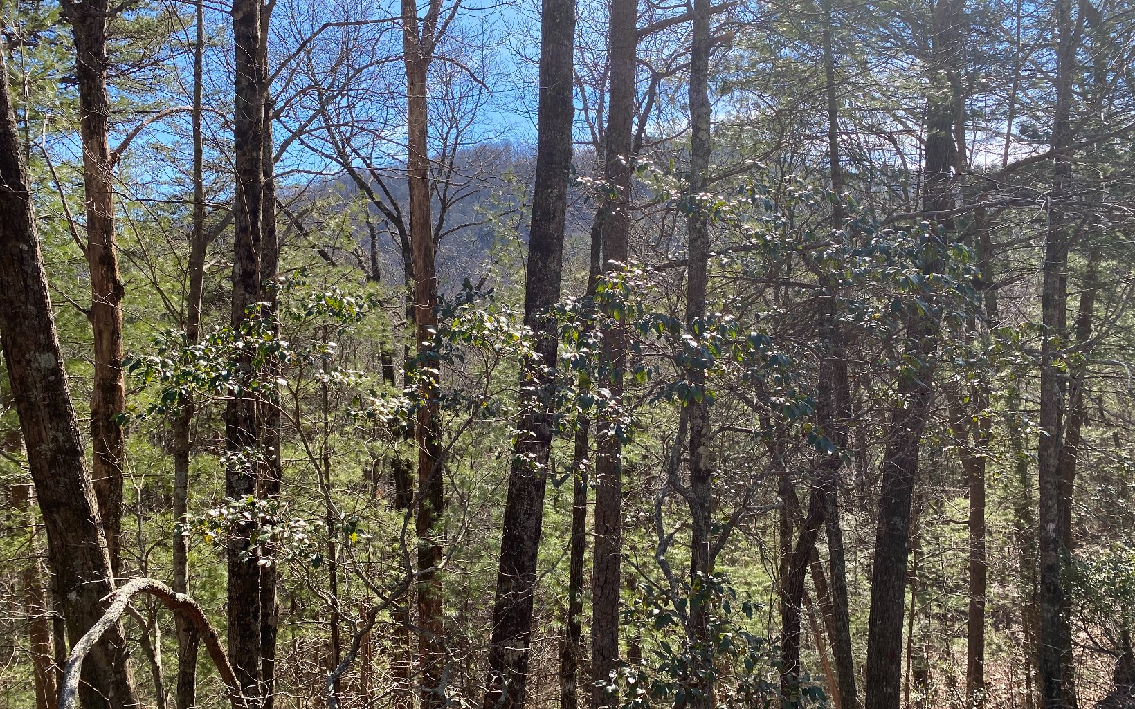 3.06 Acres Chatsworth Hwy