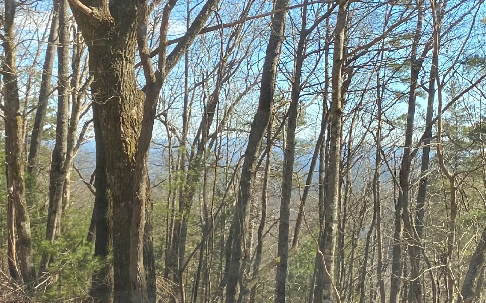 3.06 Acres Chatsworth Hwy