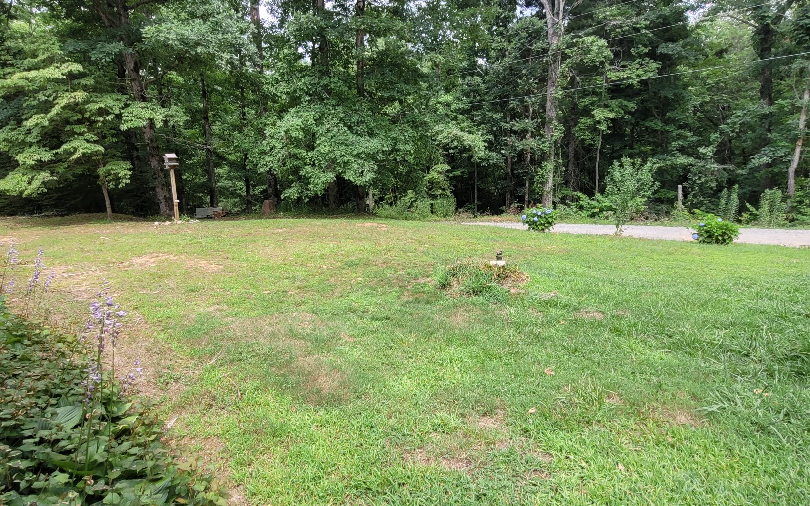 311 Gunstock Creek Lane