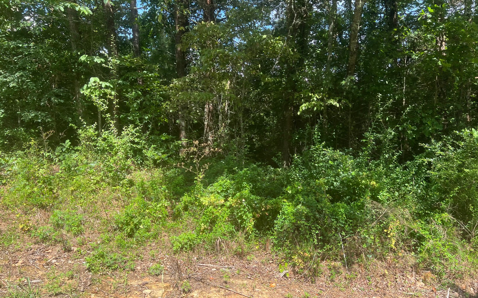 LOT 8 Old Orchard Road