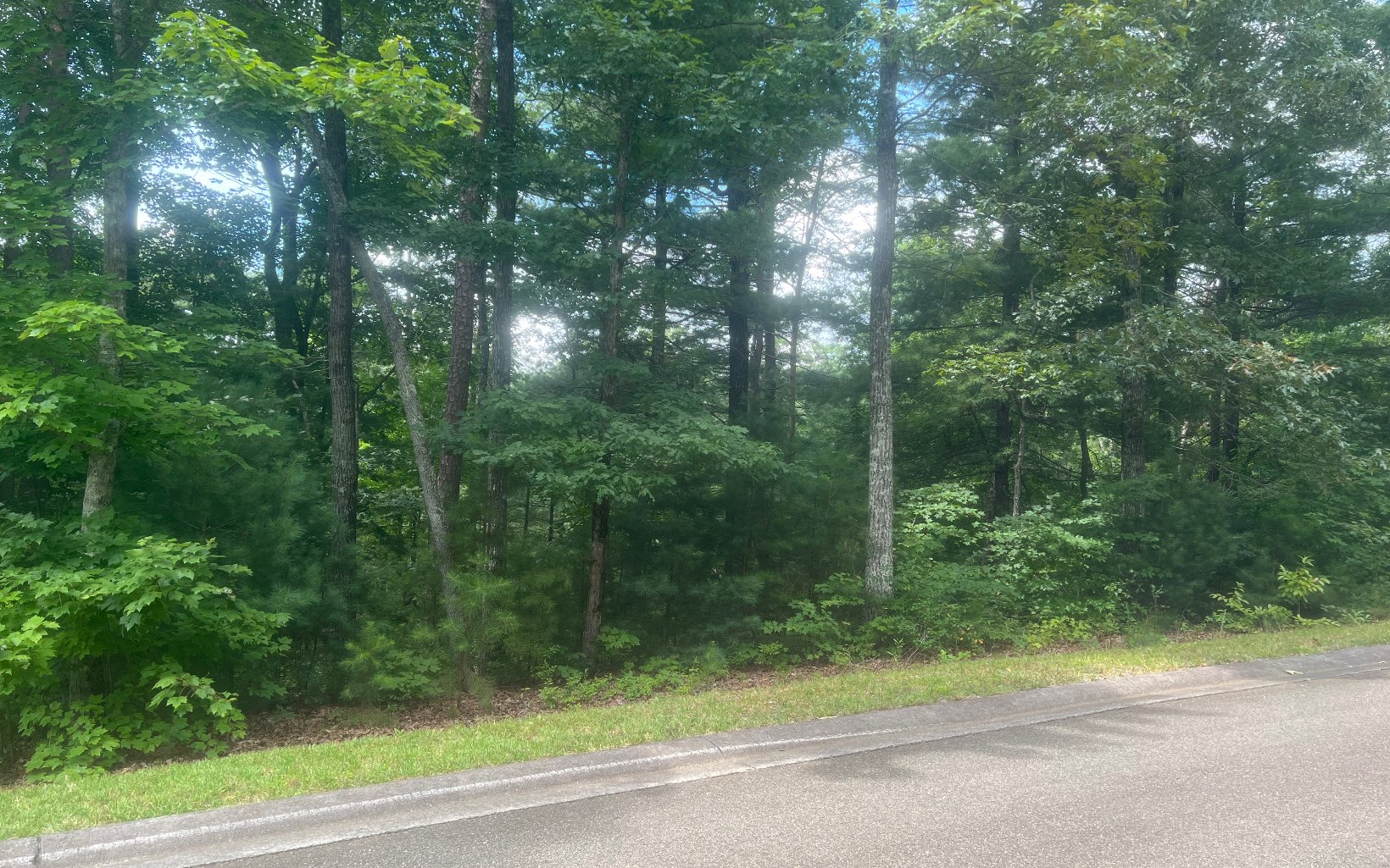 LOT 8 Abbott Mill Road