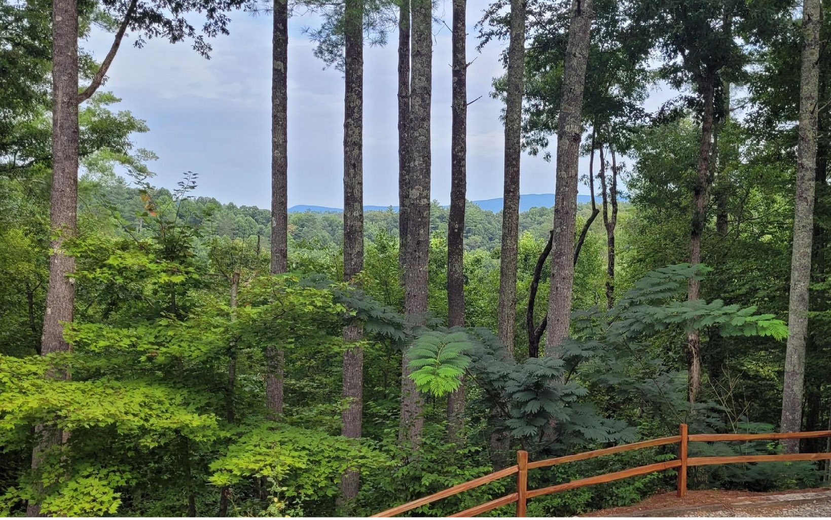 52 Pine Ridge Trail