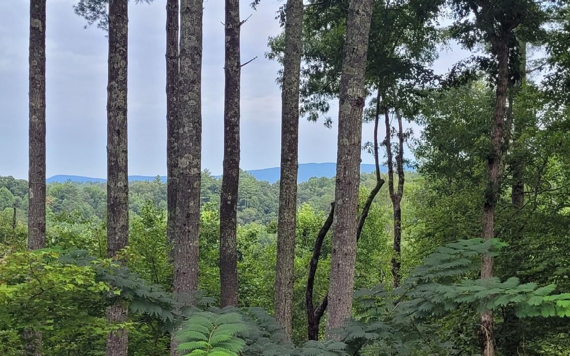 52 Pine Ridge Trail