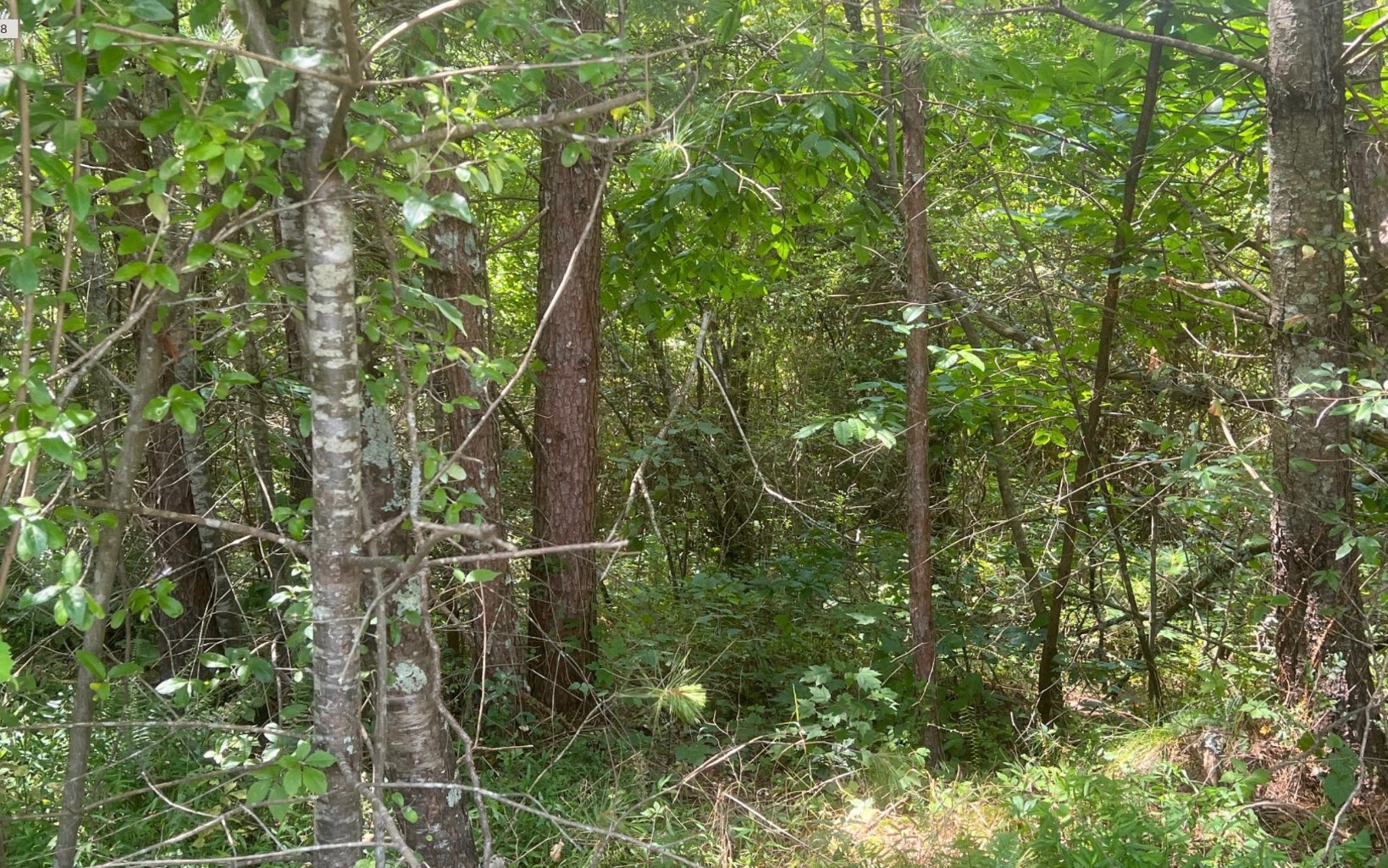 LOT 9 Old Orchard Road