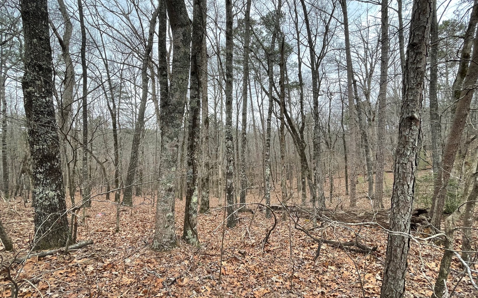 709 High Knoll Road