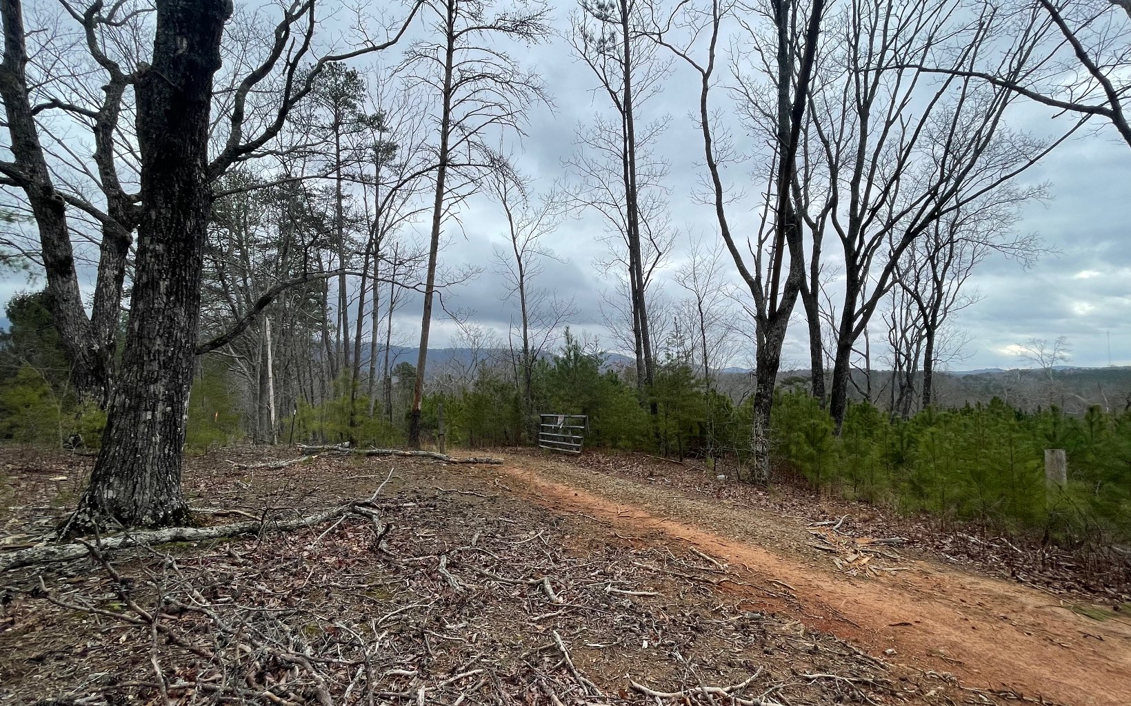 709 High Knoll Road