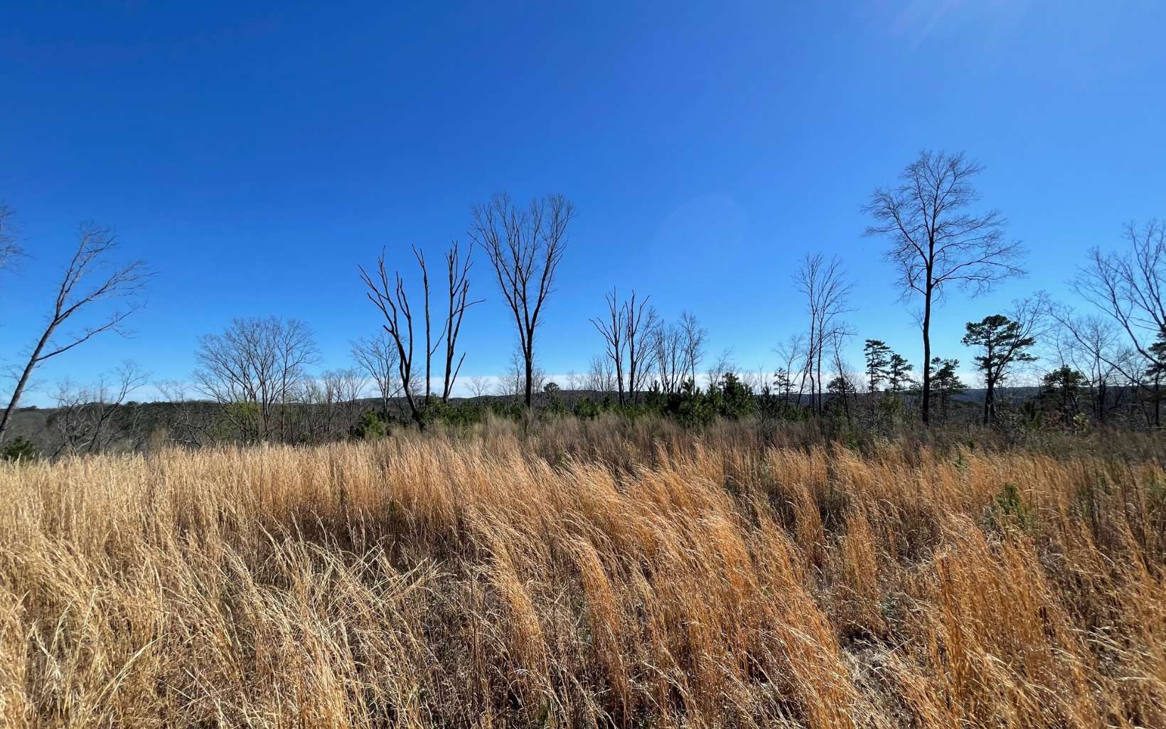 709 High Knoll Road