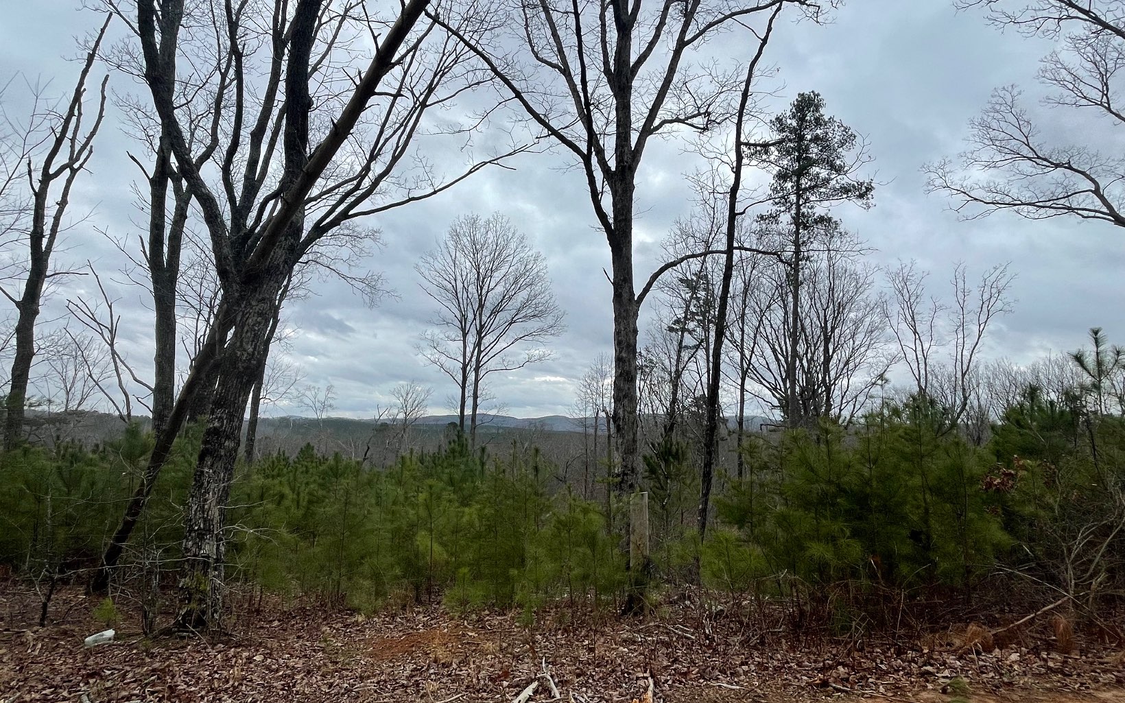 709 High Knoll Road