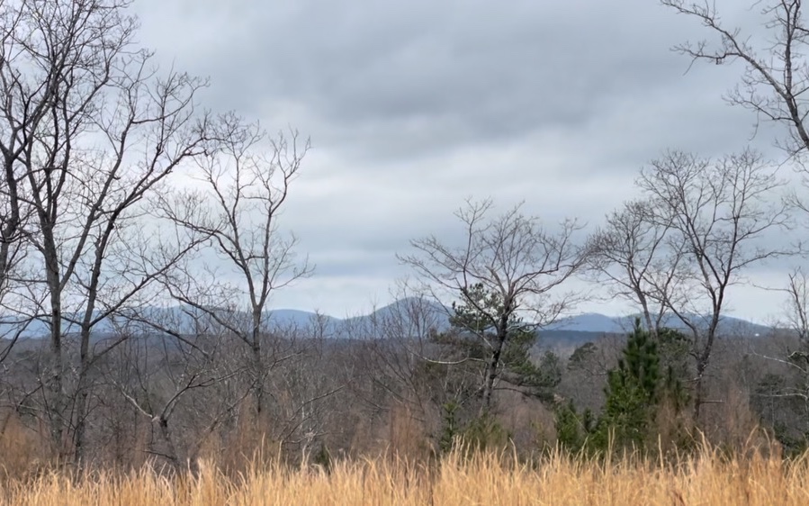 709 High Knoll Road