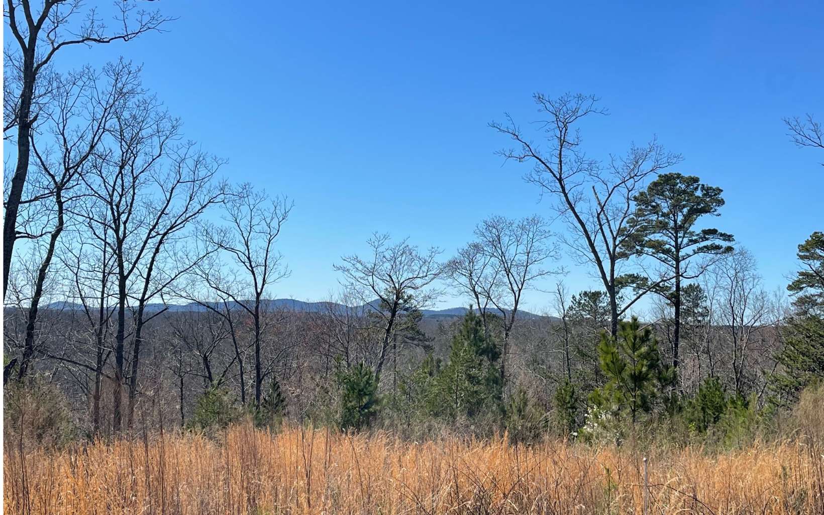 709 High Knoll Road
