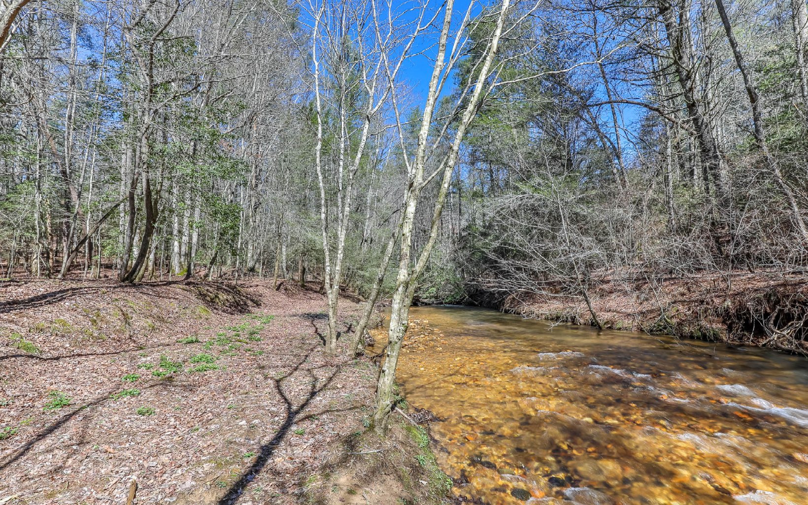 627 Walker Ridge