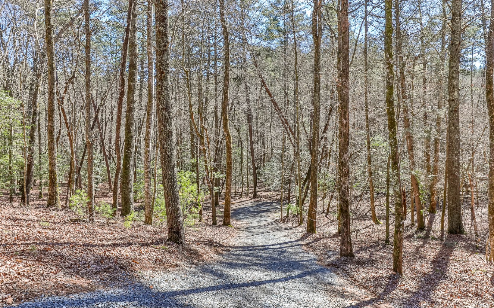 627 Walker Ridge