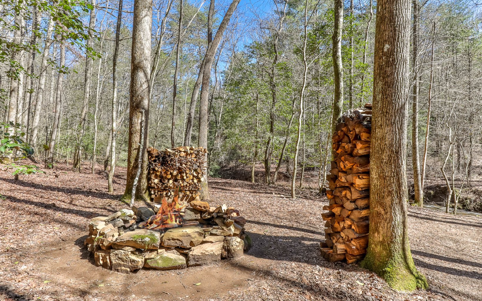 627 Walker Ridge