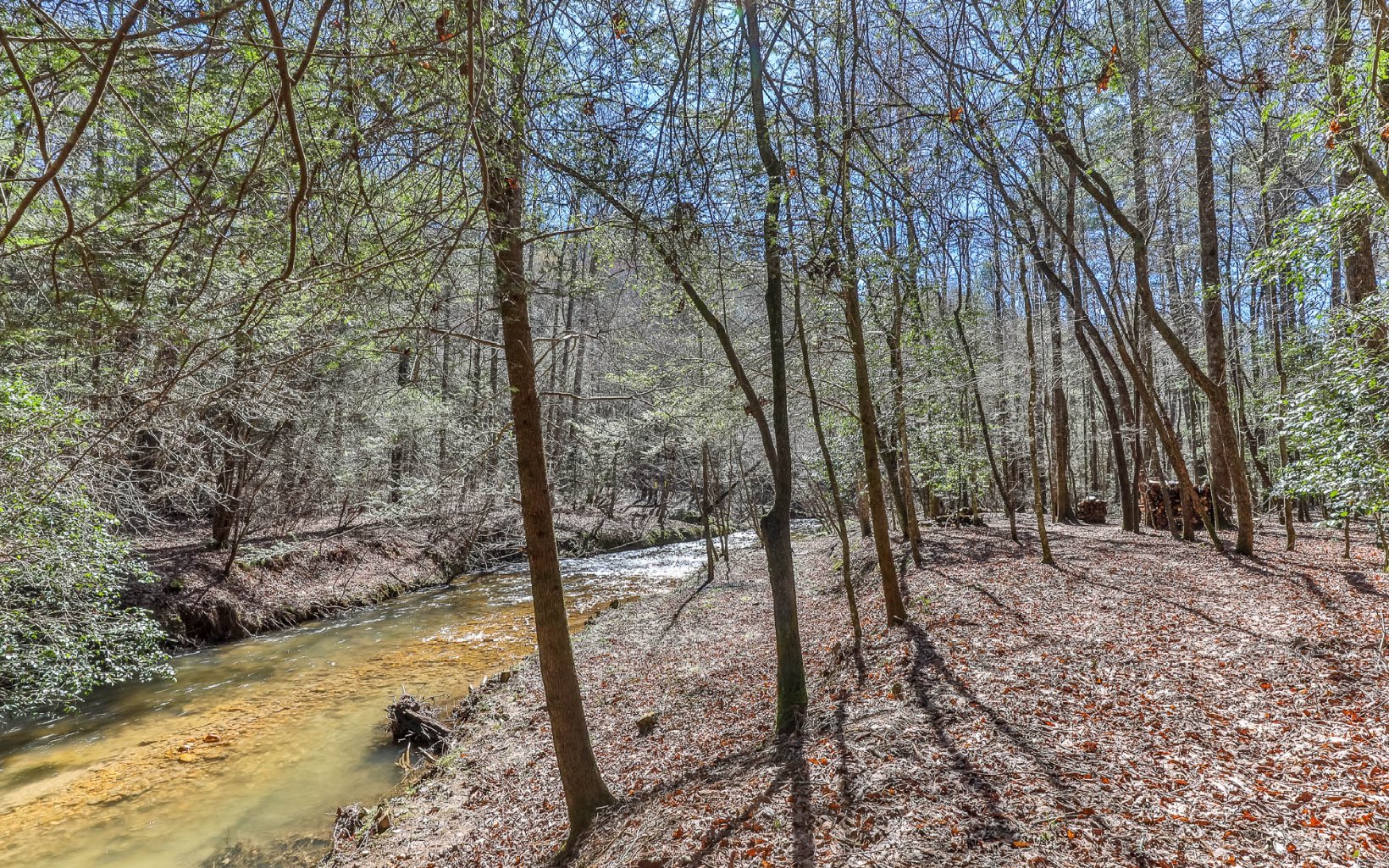 627 Walker Ridge
