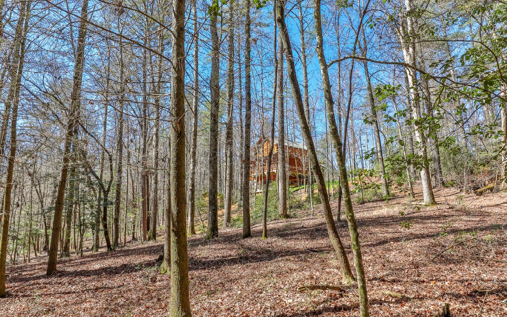 627 Walker Ridge