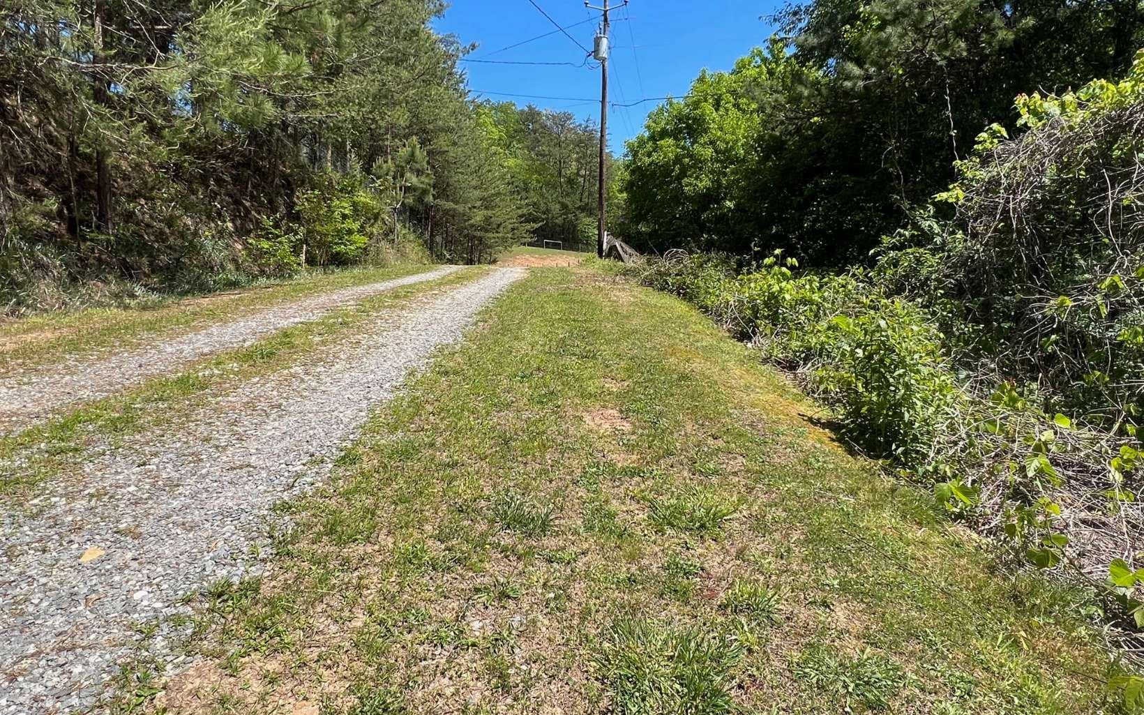 393 Old Orchard Road