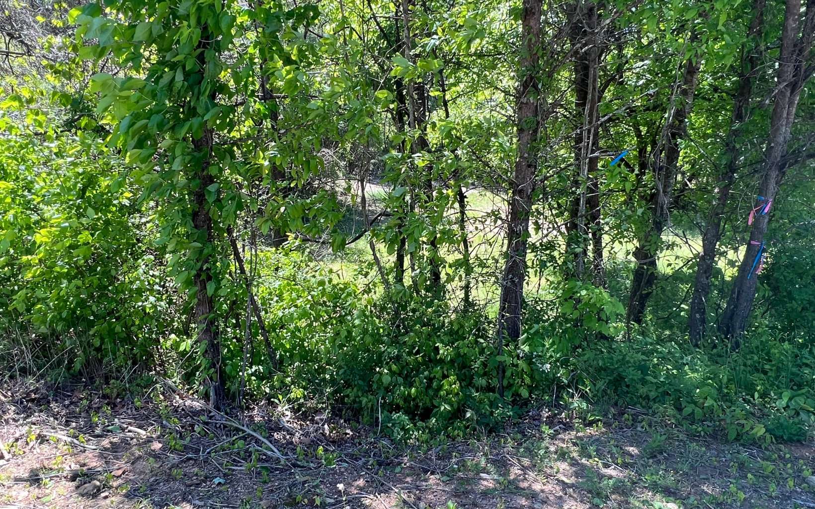 10R Old Orchard Road