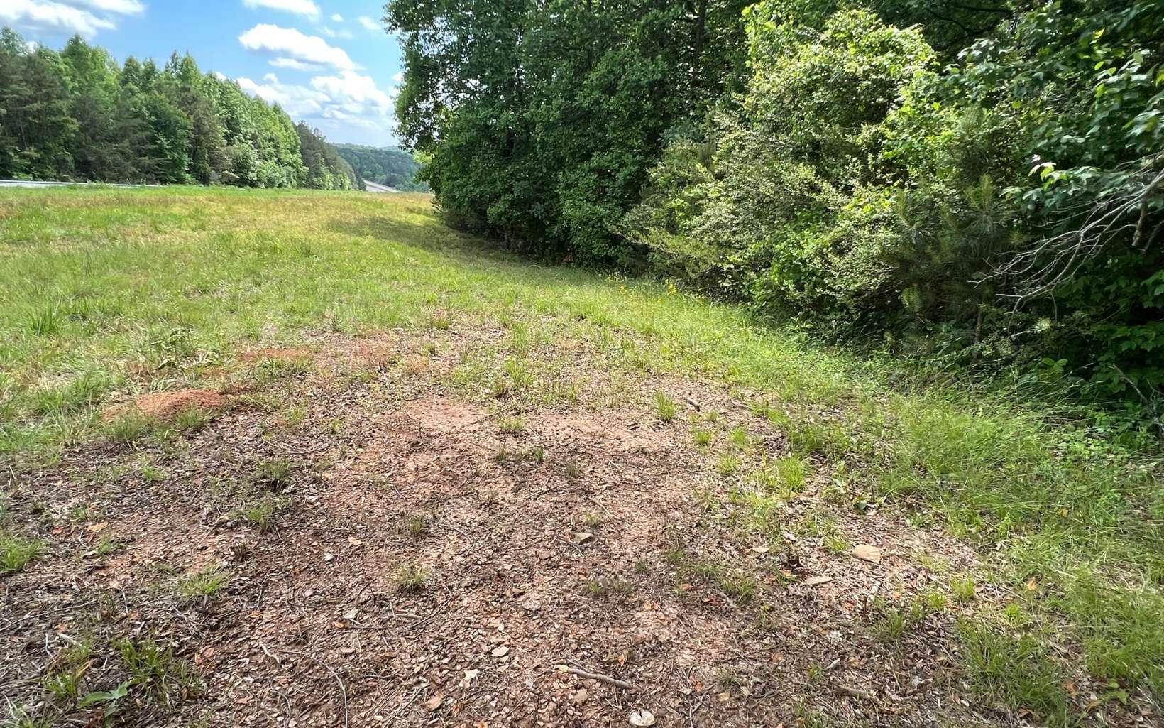 TCT 1 Old Hwy 5s