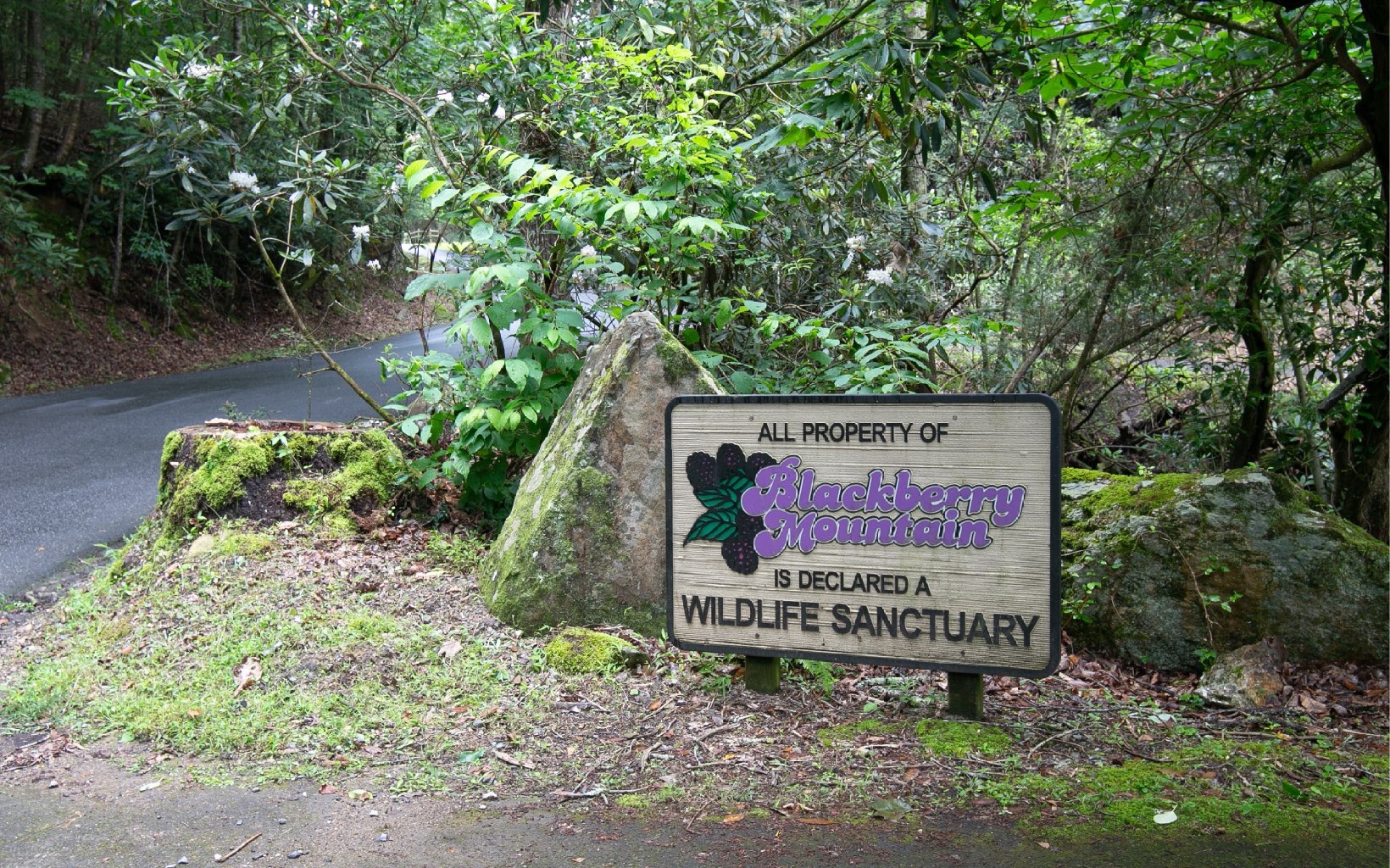 345 Indian Cave Road