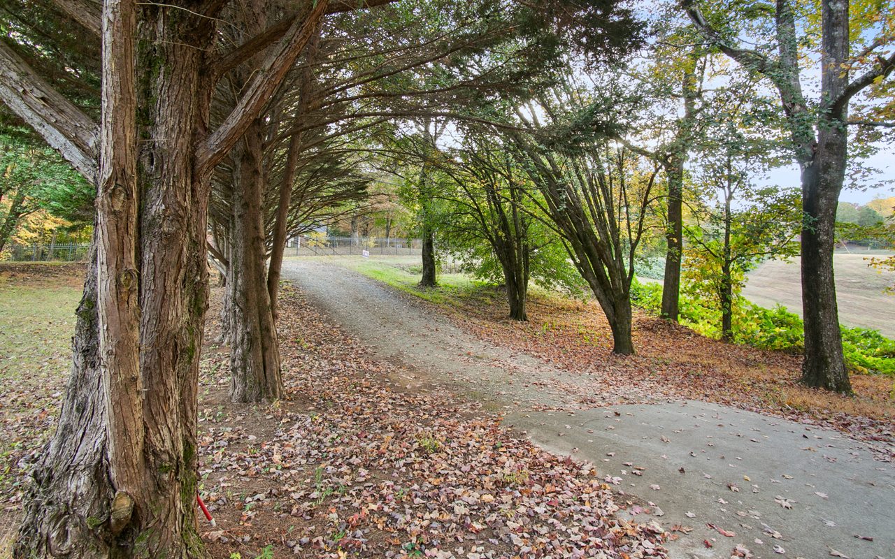 308 Old Tails Creek Road