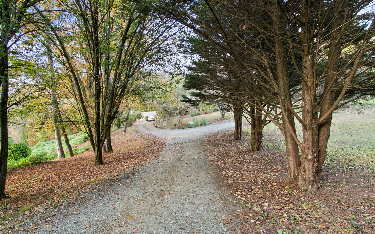 308 Old Tails Creek Road