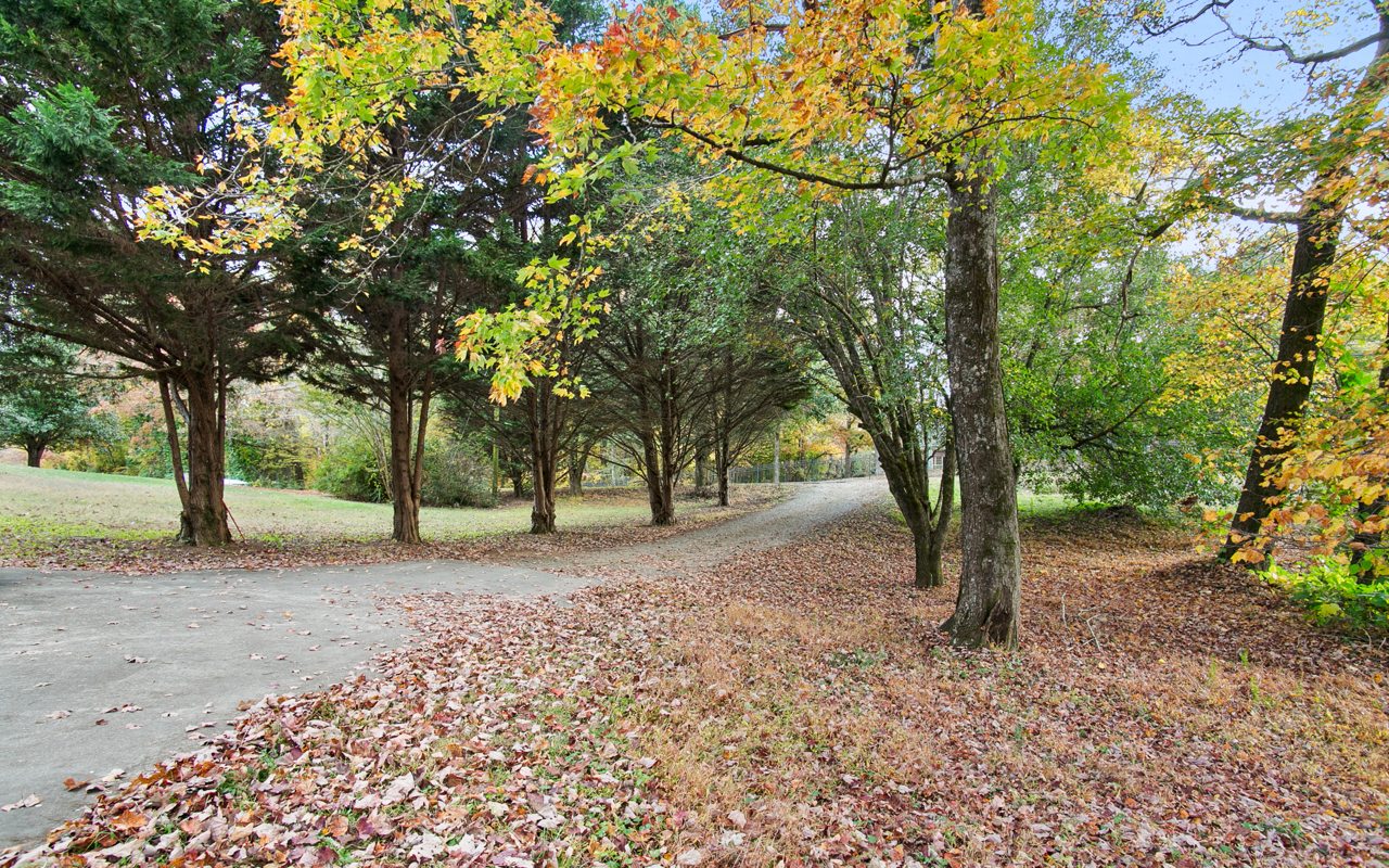 308 Old Tails Creek Road