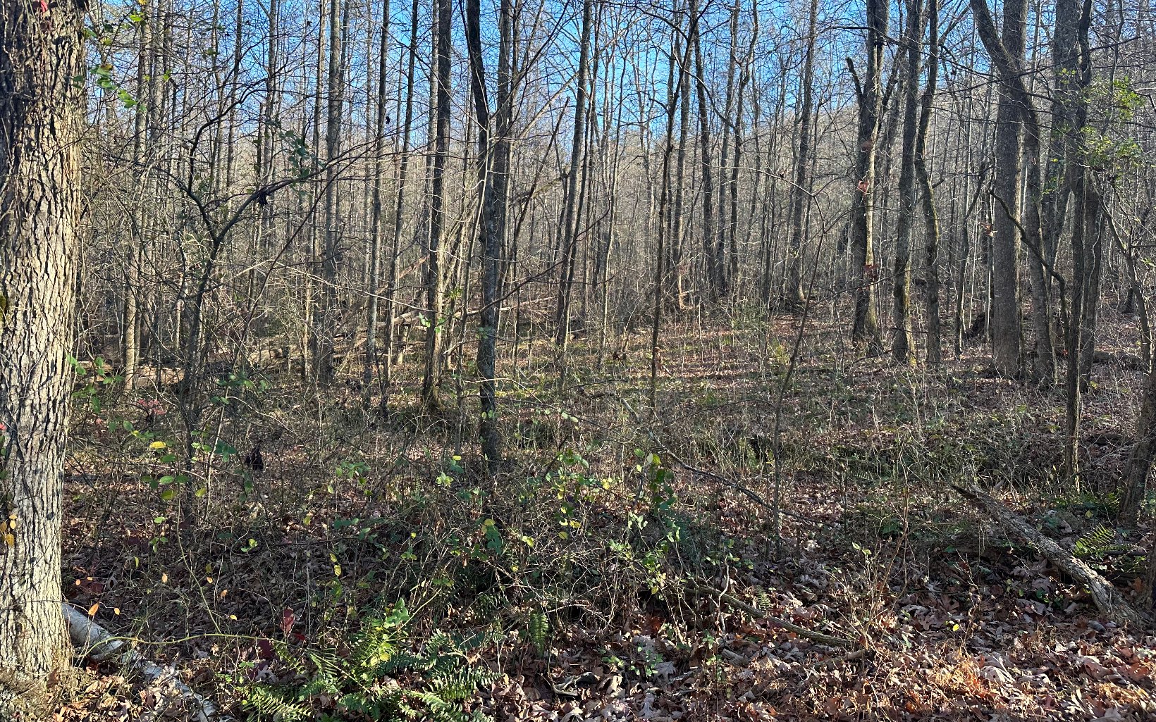 751 Kennemur Road